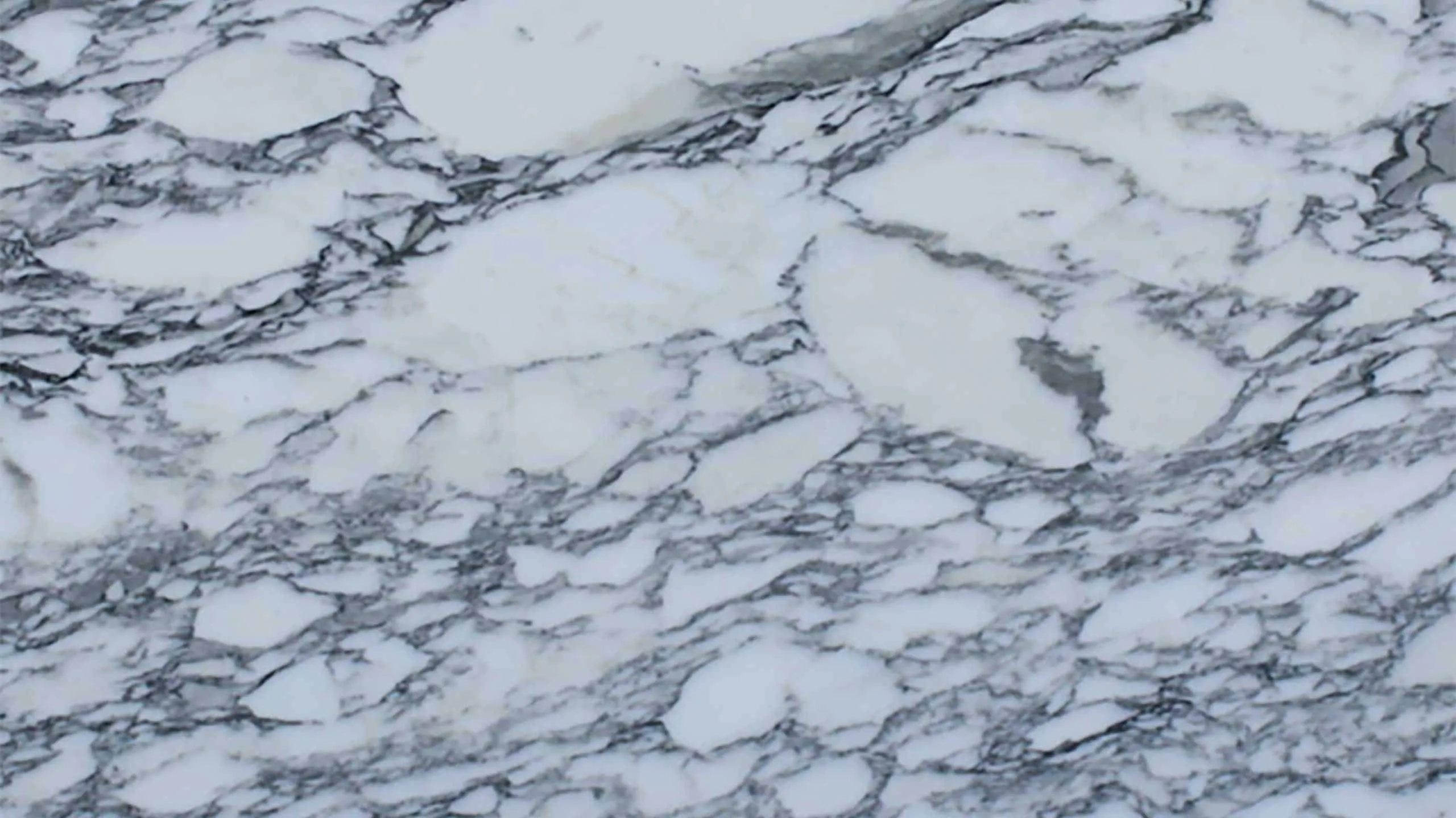 Marble Natural Stone Supplier - Anterior XL