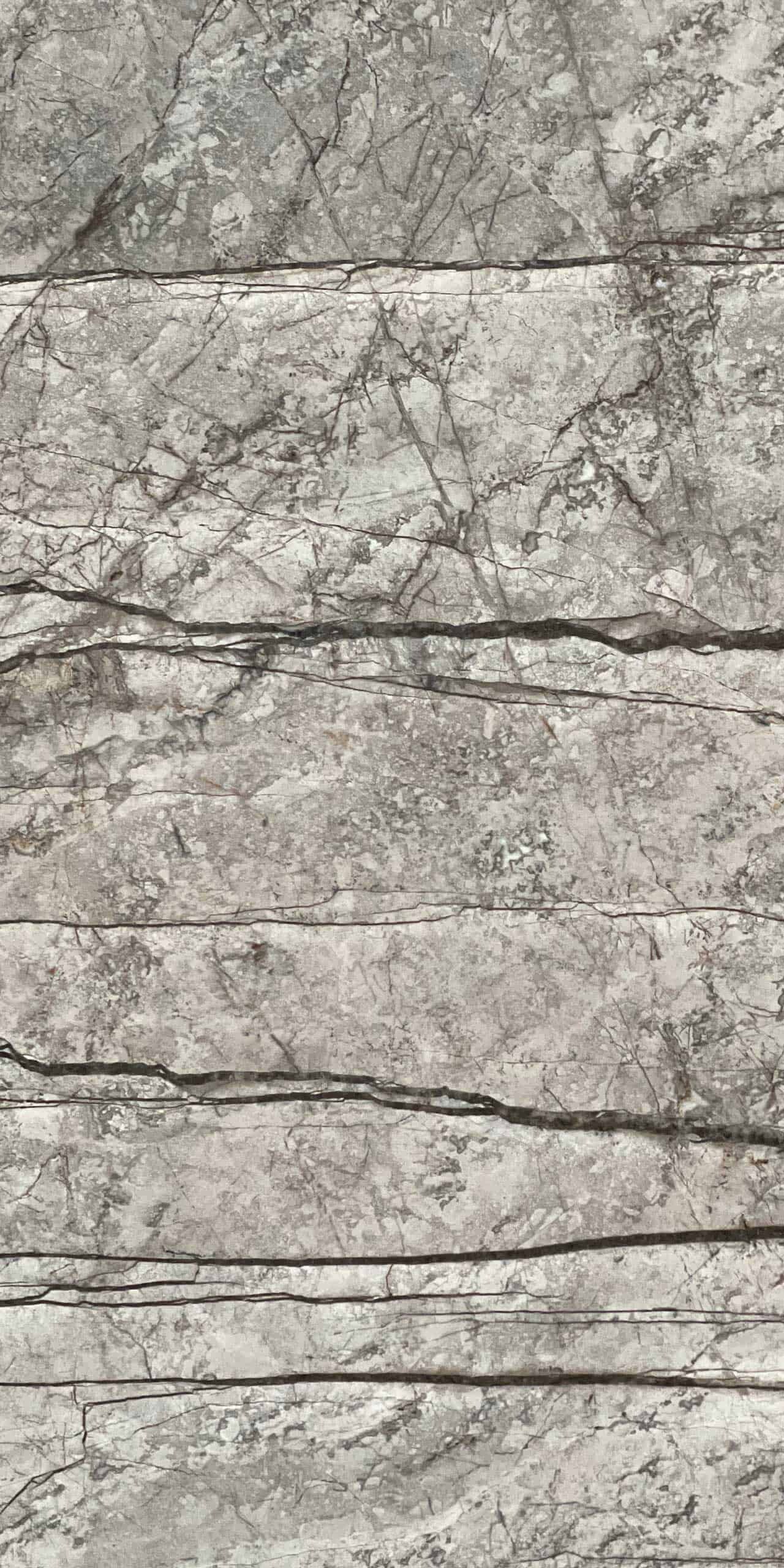Silver Roots Marble Natural Stone