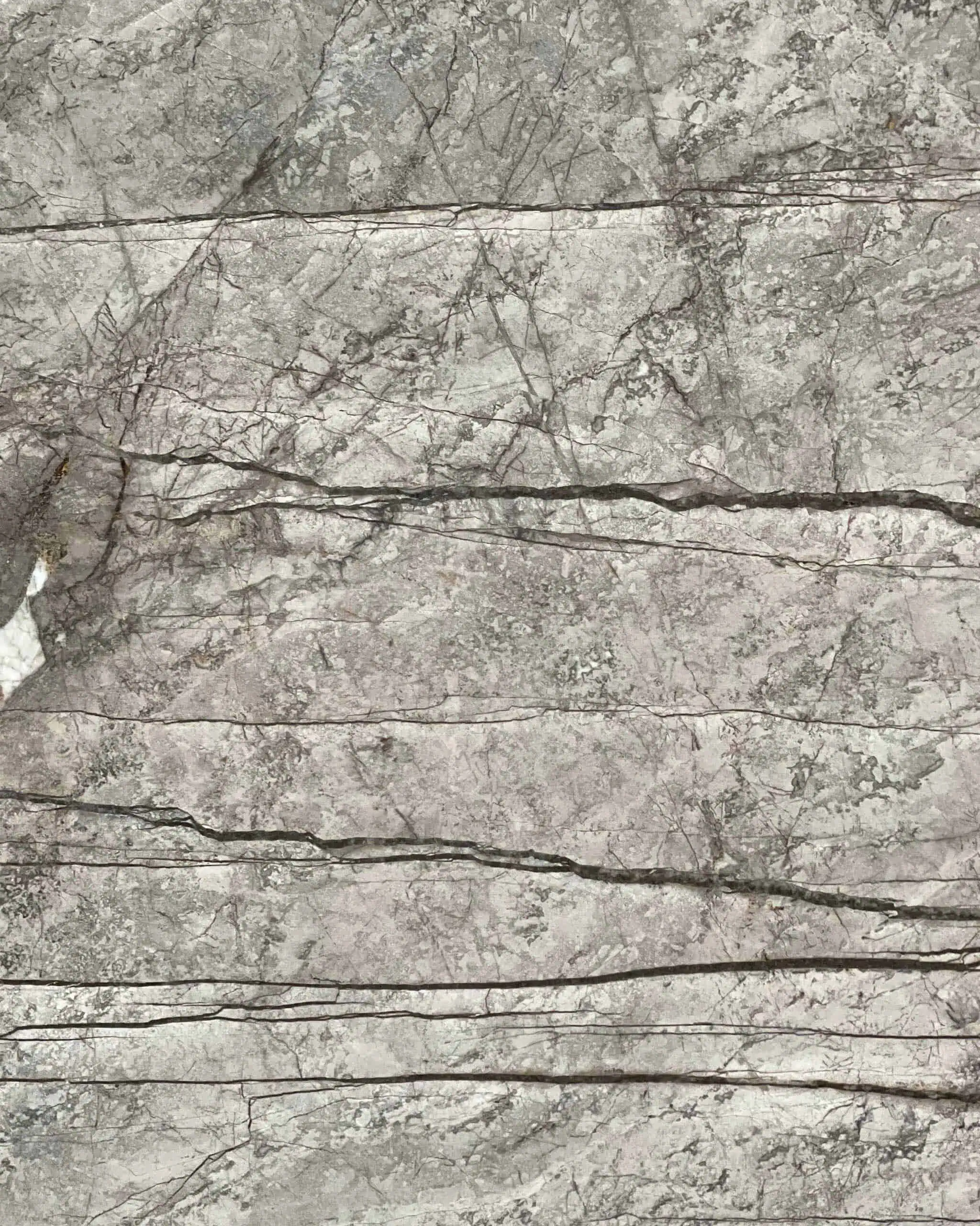Silver Roots Marble Natural Stone